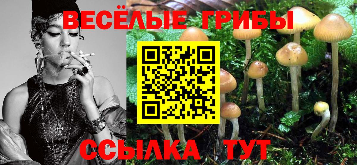 Псилоцибиновые грибы GOLDEN TEACHER Елец