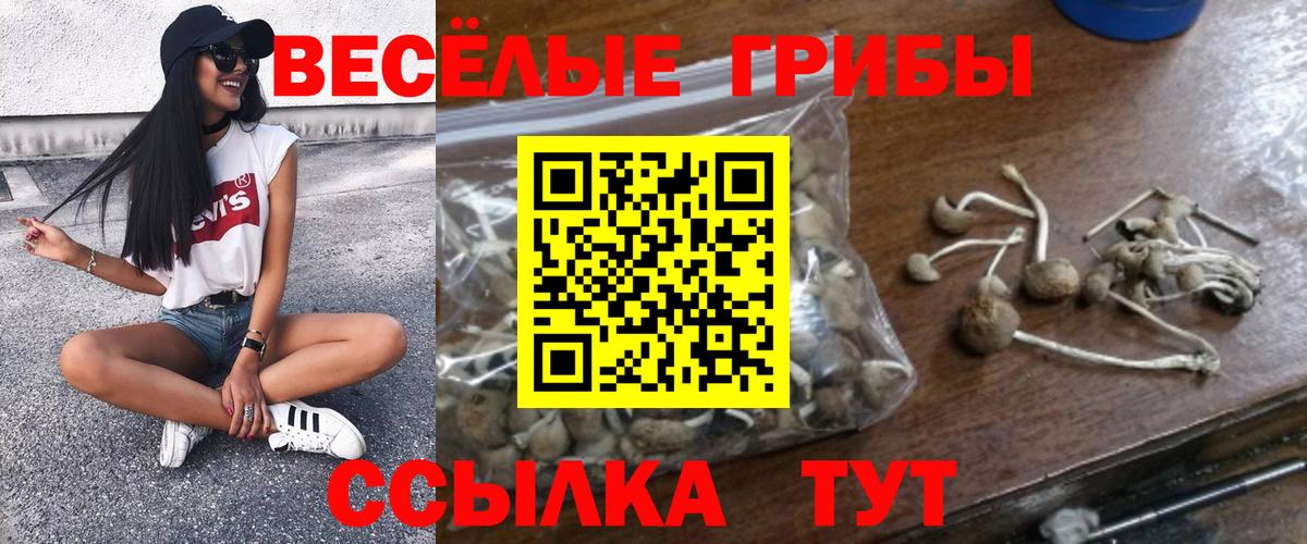 Галлюциногенные грибы Psilocybine cubensis  Вход с VPN  Елец 